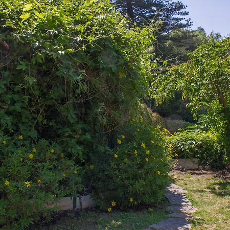 بيت ضيافة Quinta Murtas 4*