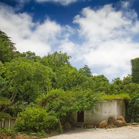 بيت ضيافة Quinta Murtas سينترا