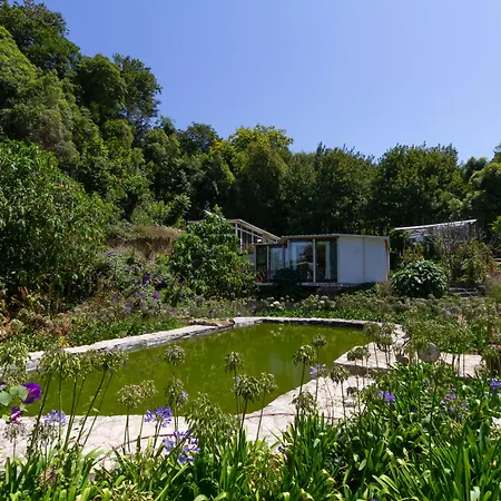 Quinta Murtas