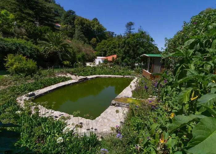 Quinta Murtas בית הארחה סינטרה