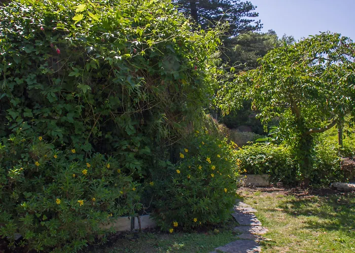 Gasthuis Quinta Murtas 4*